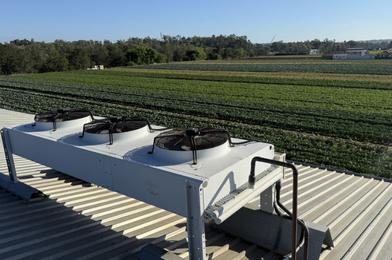 cool room services farms