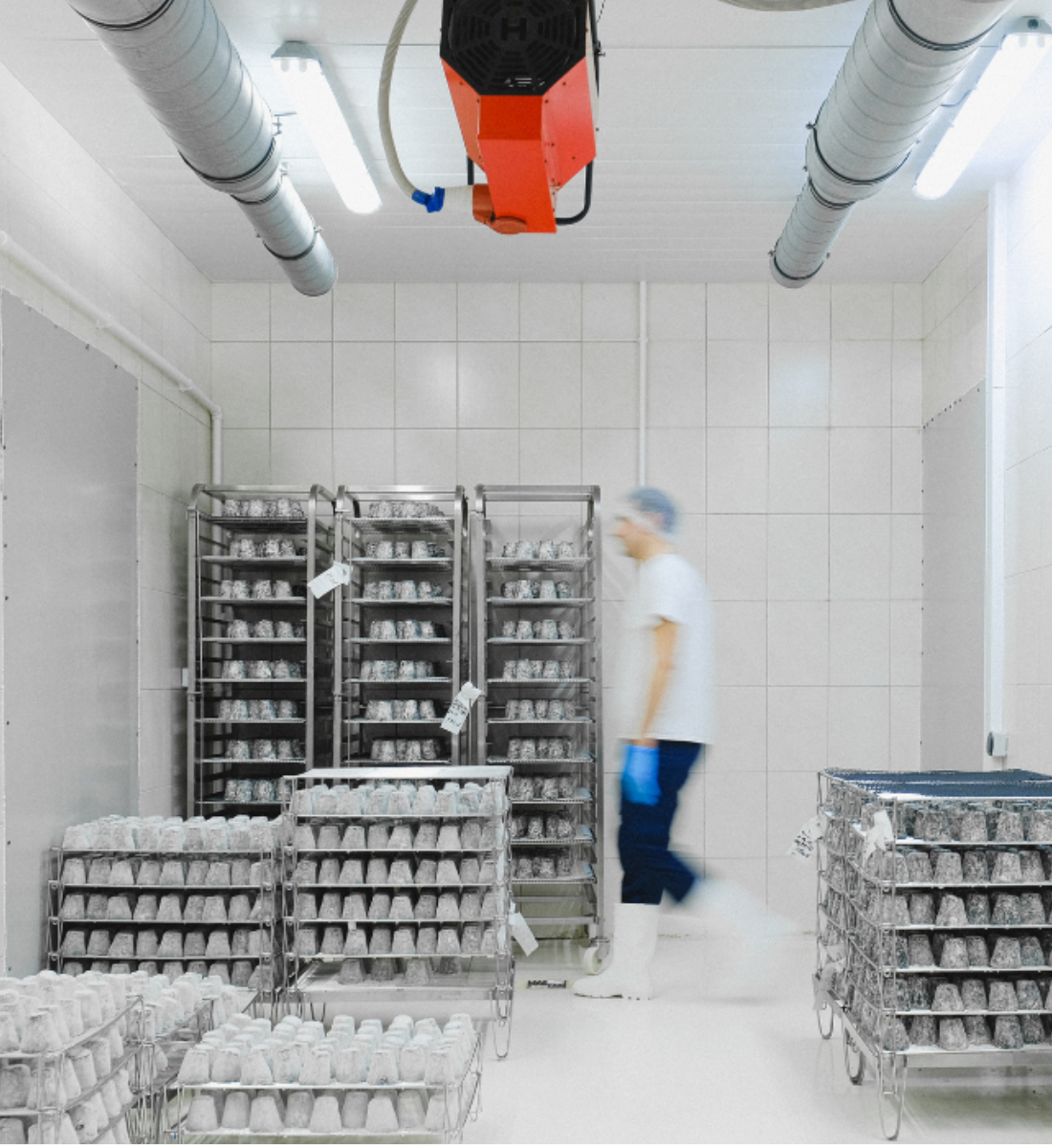 pharmaceutical cold storage compliance for sydney facilities