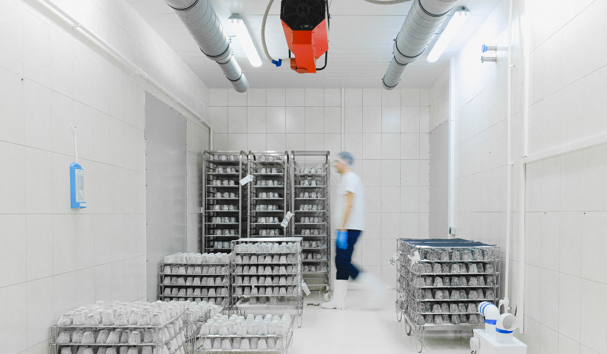 pharmaceutical cold storage compliance for sydney facilities